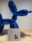 Chien bleu gris