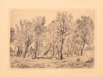 Group of trees