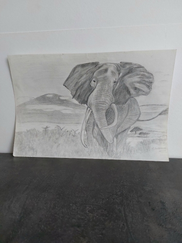 Patricia Ceulemans - Item N° 1 - Afrikaanse Olifant