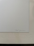 Ann Veronica Janssens - 'Eclipse A/B/C/D' by Ann Veronica Janssens (museum to scale - edition)