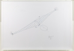 Ijsvogel