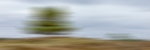Passing landscape I