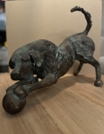 Dog playing