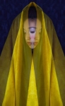 Dropping The Veil