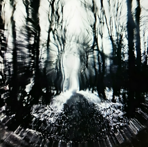 Sven Jermei - The forever Path