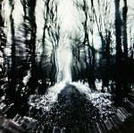 The forever Path