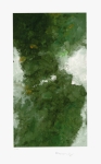 DER WALD