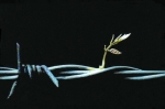Banksy (attributed)  - Banksy (toegeschreven) Free Palestijnse Sculpture met aankoopbewijs (#0536)​