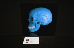 MR Strange Gitard - Death in Blue