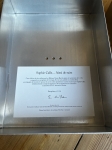 SOPHIE  CALLE - Coffret Sophie Ainsi de suite - Edition signée limitée à 50ex. contenant l'oeuvre : Ici reposent des secrets 2003