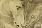 Gérard Edelinck - Equestrian battle