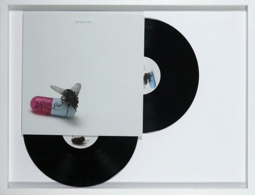 Damien Hirst - Im with you