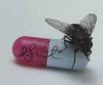 Damien Hirst - Im with you