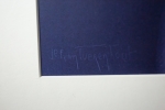 Jef Van Tuerenhout - Titel onbekend