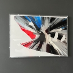 Damien Hirst - Shark spin painting in plexibox