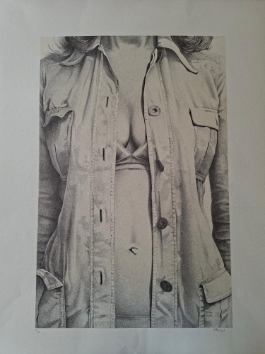 Roger Wittevrongel - open blouse