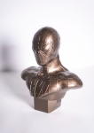 Noir  - The Spiderman Bust (dark copper edition)