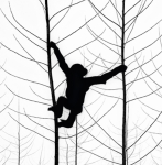 MR Strange Gitard - Two Monkeys in Winter