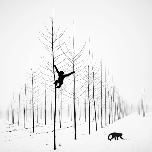 MR Strange Gitard - Two Monkeys in Winter