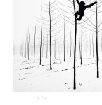 MR Strange Gitard - Two Monkeys in Winter