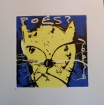 POES