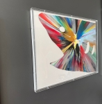 Damien Hirst - Shark spin painting in plexibox