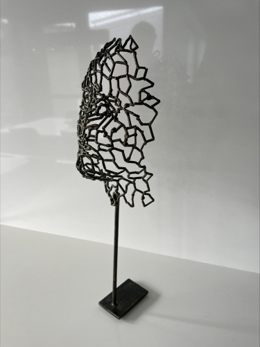 Tihomir Sarajcic - Wired Face