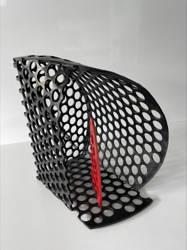 Tihomir Sarajcic - Haai in de box