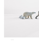 MR Strange Gitard - L'union Fait la Force