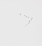 MR Strange Gitard - L'union Fait la Force