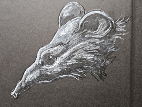 ROA  - ROA  - originele tekening