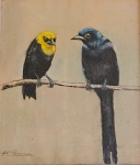 Twee vogels op een tak