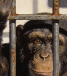 MR Strange Gitard - Fuck You (II)