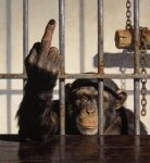 MR Strange Gitard - Fuck You (II)