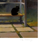 MR Strange Gitard - By Night