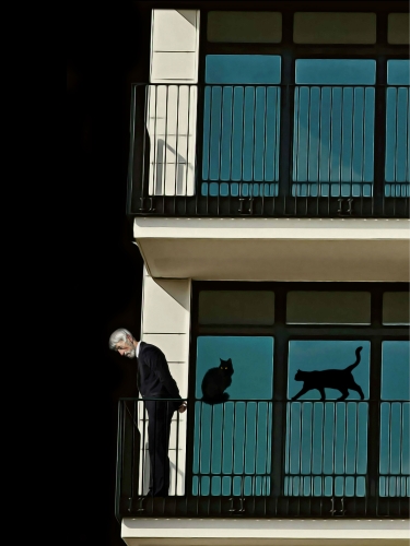 MR Strange Gitard - The Old Man and His Cats