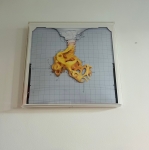 Nick Ervinck - Komanil in plexibox