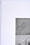 Roger Wittevrongel - Loose shoulder strap - etching, varnish sleeve and aquatint