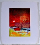 Diverse Kunstenaars  - Lot of 9 screen prints - Signed