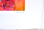 Diverse Kunstenaars  - Lot of 9 screen prints - Signed