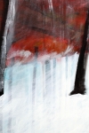 Stéphane Le Maou  - Forêt rouge - acryl op doek - 50x70 cm - 2008