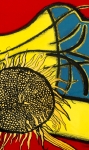 Guillaume Corneille - L'oiseau jaune - lithograph - framed