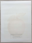 René Magritte - Ceci nest pas une pomme