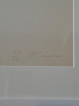 Richard Simoens - vleugelschroef