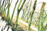 Wanda Werner - Winterse gracht