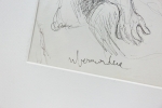 Willem Vermandere - Titel onbekend