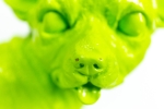 Hannes D'Haese - I wove you (Chihuahua - small)