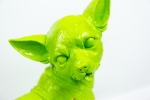 Hannes D'Haese - I wove you (Chihuahua - small)