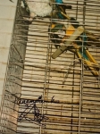 Panamarenko  - Flugbetrieb - Küche