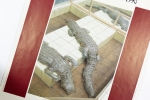 Panamarenko  - Poster Biennale 1990